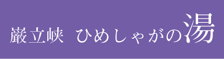 株式会社 ひめしゃがの湯 Gero Local Brands Projects